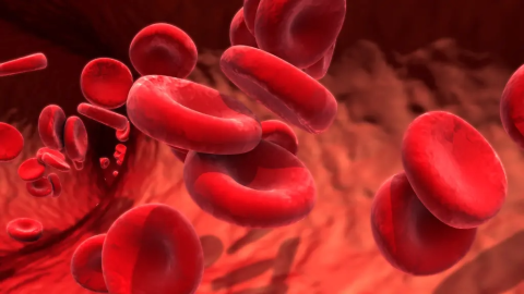 blood