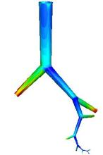 Hemodynamics