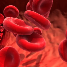 blood