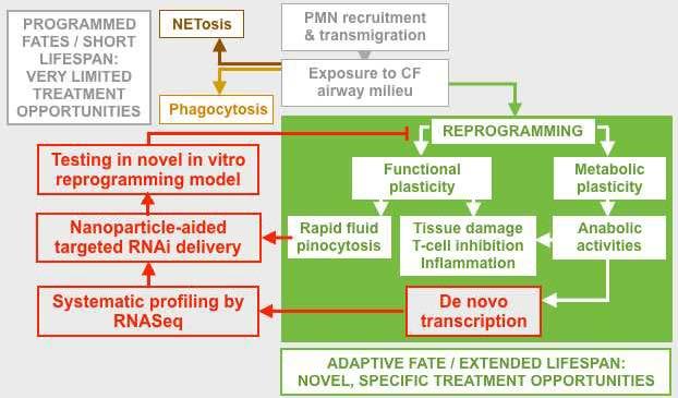 rnai